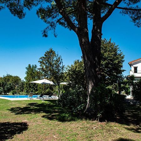 Terre Etrusche Guest House-Terme -3 Minuti Da Viterbo Centro Екстер'єр фото
