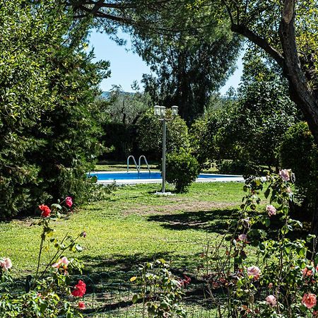 Terre Etrusche Guest House-Terme -3 Minuti Da Viterbo Centro Екстер'єр фото