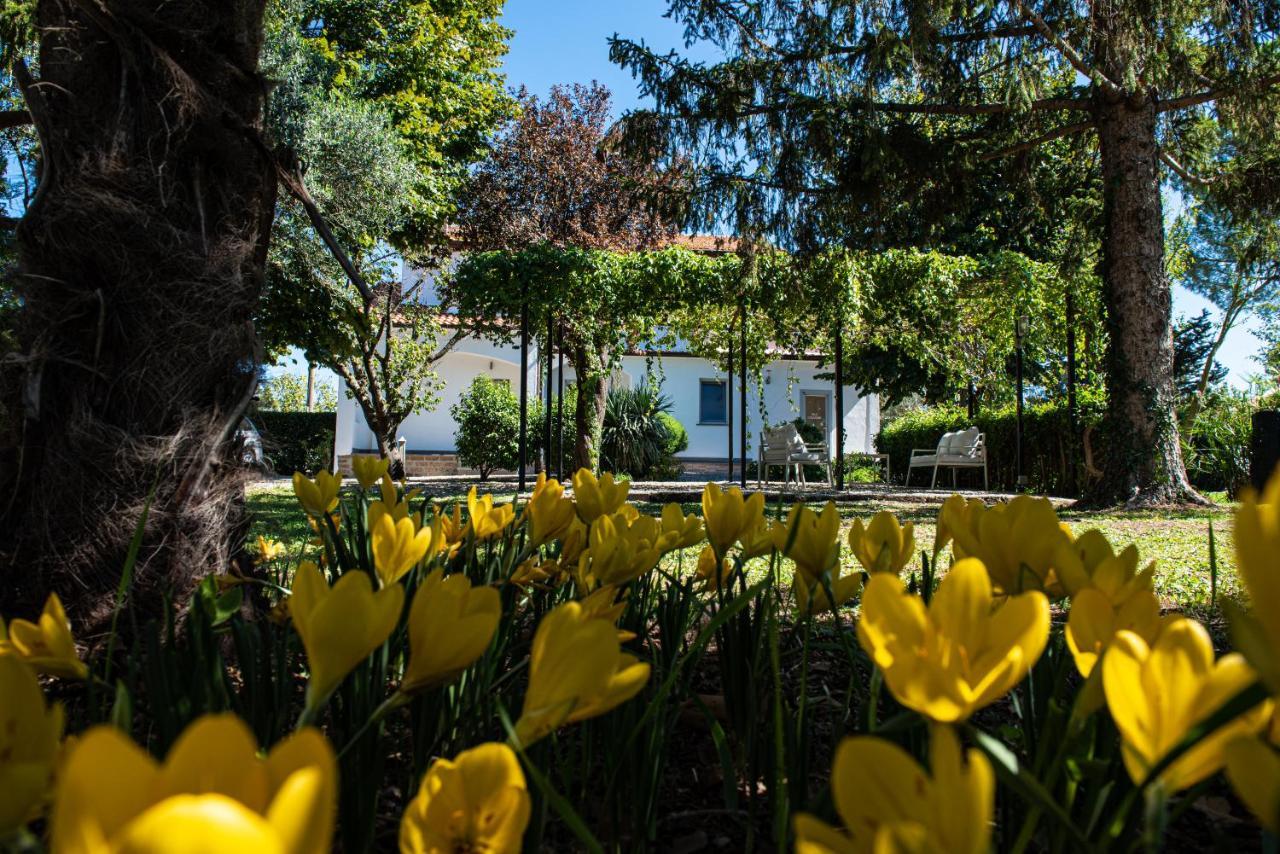Terre Etrusche Guest House-Terme -3 Minuti Da Viterbo Centro Екстер'єр фото